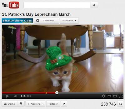 La star du jour : Le chaton de la Saint Patrick !