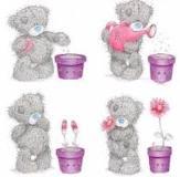 Les petits pas d'une (presque grande) graine.