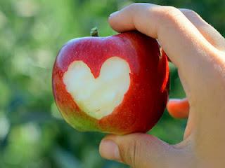 Les petits pas d'une (presque grande) graine.