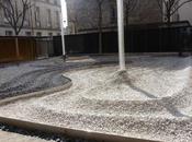 J'ai aimé vendredi Paris maison européenne Photographie(photos perso)