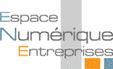 Espace Numérique Entreprises : appropriation 2007 des TIC dans le Rhône