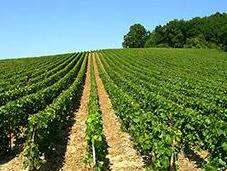 communes vont gagner magot