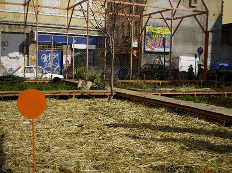 ::: GALERIE ROGER TATOR :::