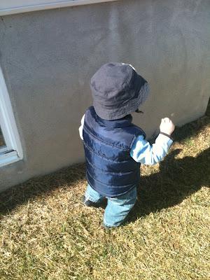 THÉO L'AVENTURIER À LA VANILLE