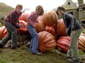 résultats (!!!) fameux sondage