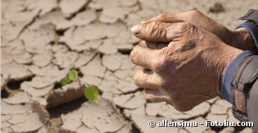 La sécheresse hivernale frappe les agriculteurs européens