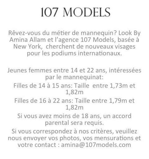 Look By Amina Allam & 107 Models NY : à la recherche de nouveux visages pour les podiums internationaux.