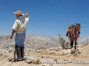 Grave sécheresse dans centre Chili