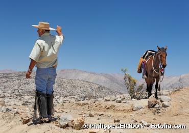 Grave sécheresse dans le centre du Chili