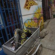 Valparaiso - Chili - Monsieur Chili - Graffiti - Art urbain - Mapuche (6)