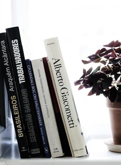 Books, magazines & flowers…