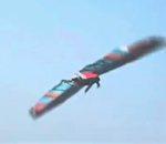 vidéo ailes humaine homme volant