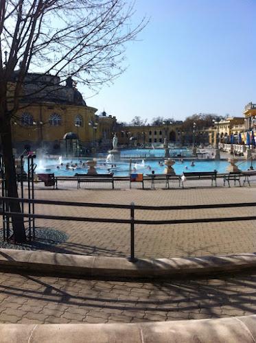 Les bains de Budapest en hiver