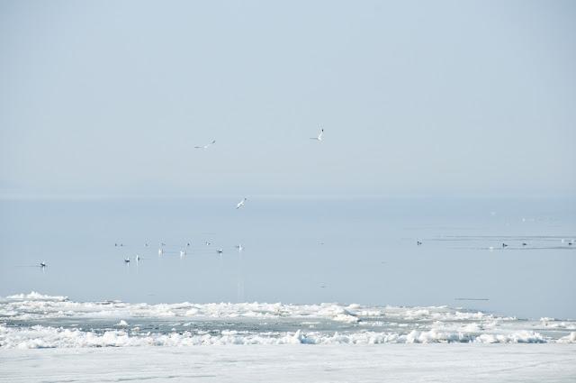 En attendant la débâcle 3