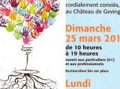 vous alliez château Gevingey