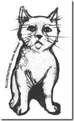 chaton chats félins félidés