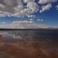 Chili - San Pedro de Atacama - Désert Atacama - Atacama - Lagunes - Cejar - Geysers de Tatio - Vallée de la Lune - Vallée de la Mort - Sel - Miniques - Miscanti - Monsieur Chili (2)