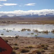 Chili - San Pedro de Atacama - Désert Atacama - Atacama - Lagunes - Cejar - Geysers de Tatio - Vallée de la Lune - Vallée de la Mort - Sel - Miniques - Miscanti - Monsieur Chili (33)
