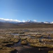 Chili - San Pedro de Atacama - Désert Atacama - Atacama - Lagunes - Cejar - Geysers de Tatio - Vallée de la Lune - Vallée de la Mort - Sel - Miniques - Miscanti - Monsieur Chili (29)