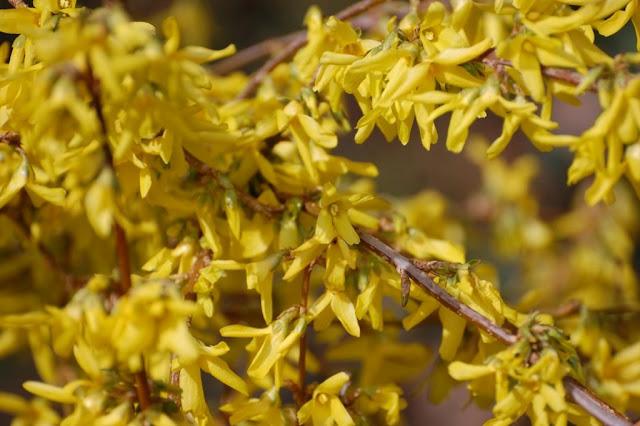 Clic-clac 2*28 - On respire !