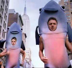 REMONTEES DE SAUMON A BROOKLYN !