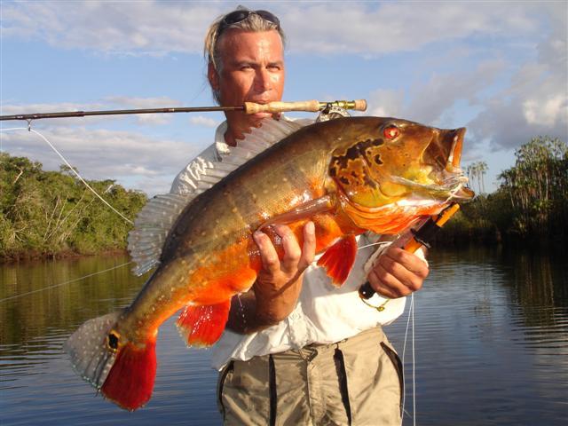 IAN ARTHUR DE SULOCKI