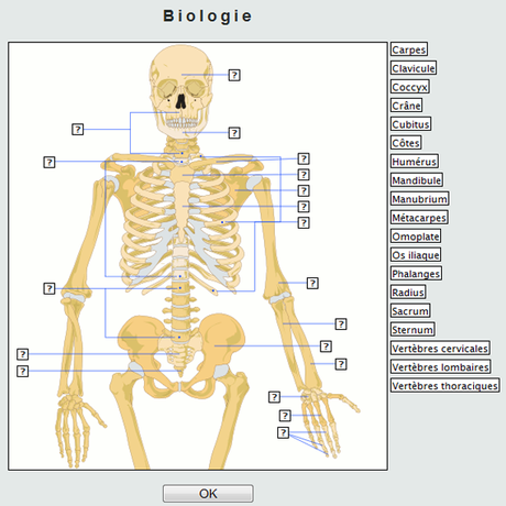 Sans livre : Tester vos connaissances sur internet pour tous les niveaux