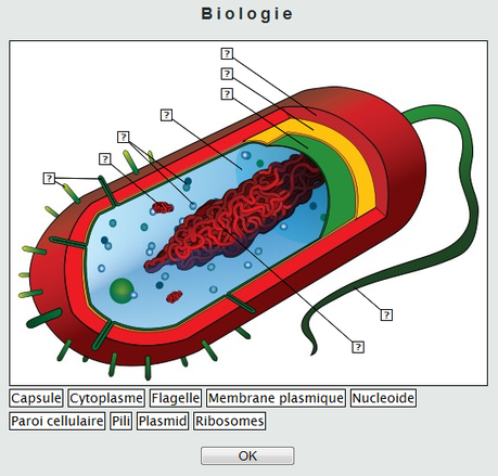 Sans livre : Tester vos connaissances sur internet pour tous les niveaux