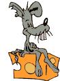 640_souris_sur_fromage