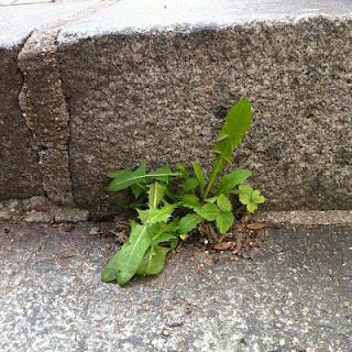 il y a vraiment des choses qui se passent quand on est ensemble