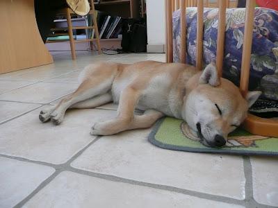 Et on dort une heure de moins...