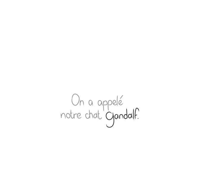 Gandalf_end