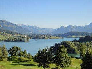 2010-07-gruyere-lac