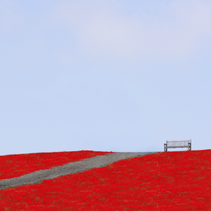 Hollande aime-t-il les gens de gauche ?