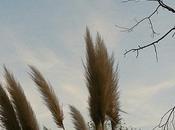 Contempler ciel nous...