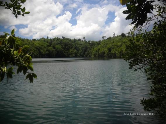 Le lac aux méduses (îles Togian, Sulawesi Centre, Indonésie)