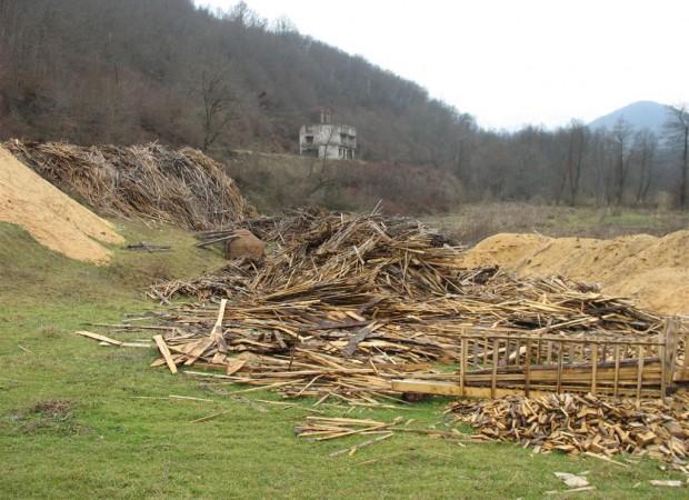 wood_biomasse_and_sawmill_waste