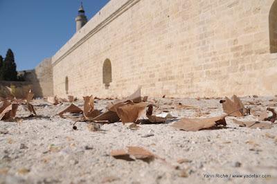 Aigues Mortes, ville fortifiée