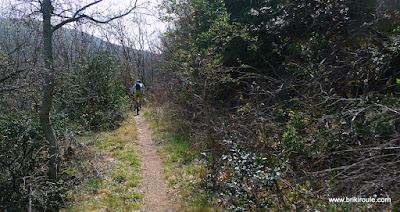 Les collines de l'Eyrieux