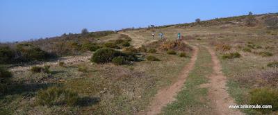Les collines de l'Eyrieux