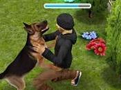 Sims™ GRATUIT iPhone iPad, lapin Pâques là...