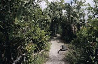 Parc national des Everglades  - USA