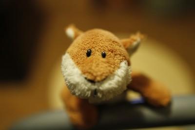 Technique : quand est-ce qu’il faut régler les ISO ?