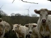 Bretagne l’éolien fournit production totale 2011