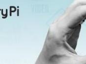 raspberry nouveau vente