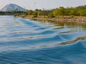 journal printemps 2012 spécial Fleuve Rhône