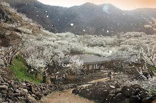 Comment le printemps arrive en Corée I