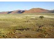 Lutte contre désertification