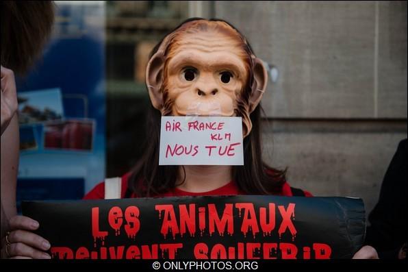 rassemblement-contre-airfrance-klm-animaux-paris-0006