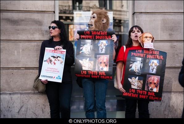 rassemblement-contre-airfrance-klm-animaux-paris-0005